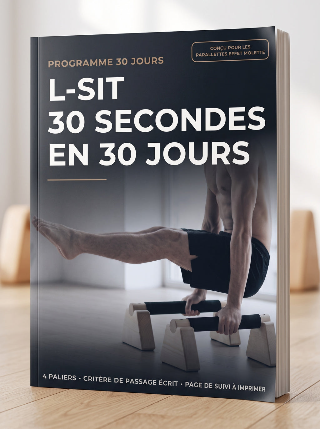 Parallettes Effet Buvard